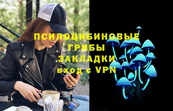 mdpv Арсеньев