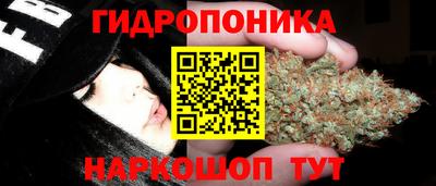индика Конаково